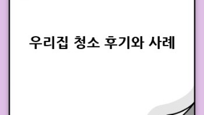 논산 양촌면 반려동물 집 청소: 깨끗한 우리집 만들기